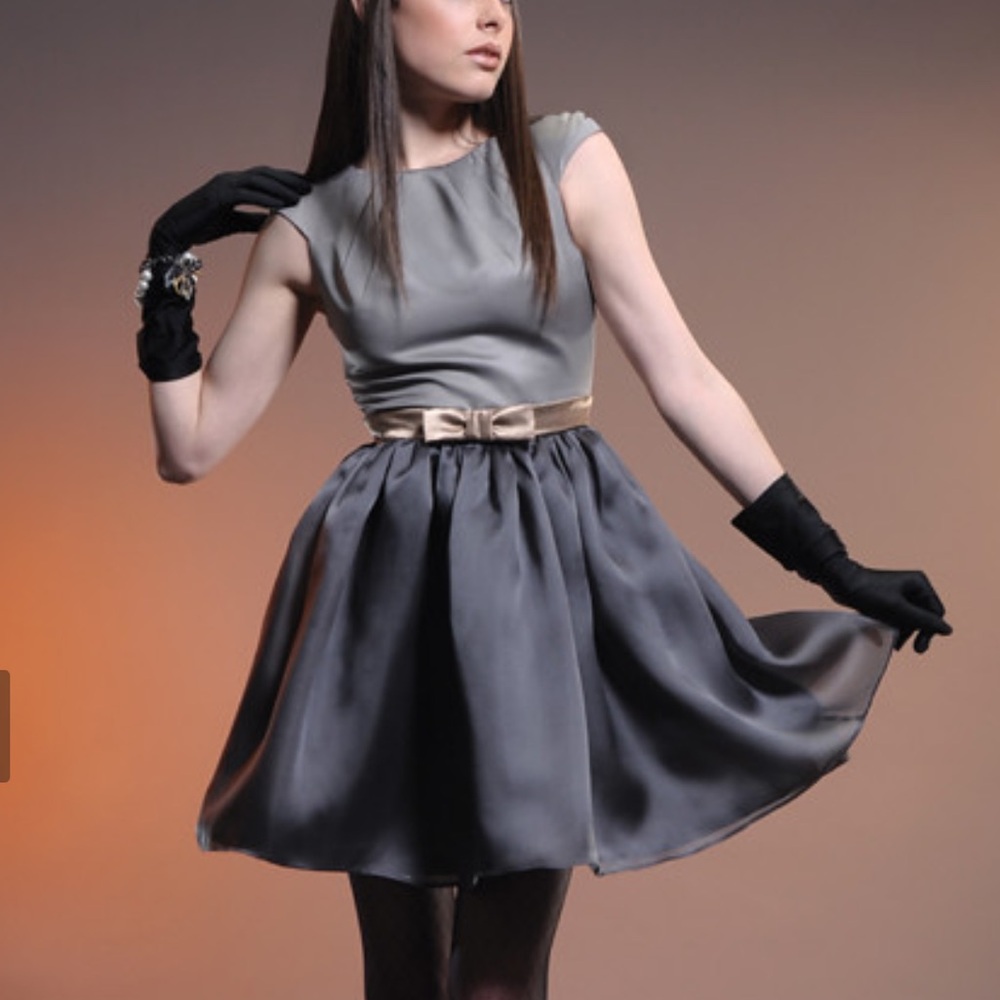 NY Designer Gray Silk Mini Dress